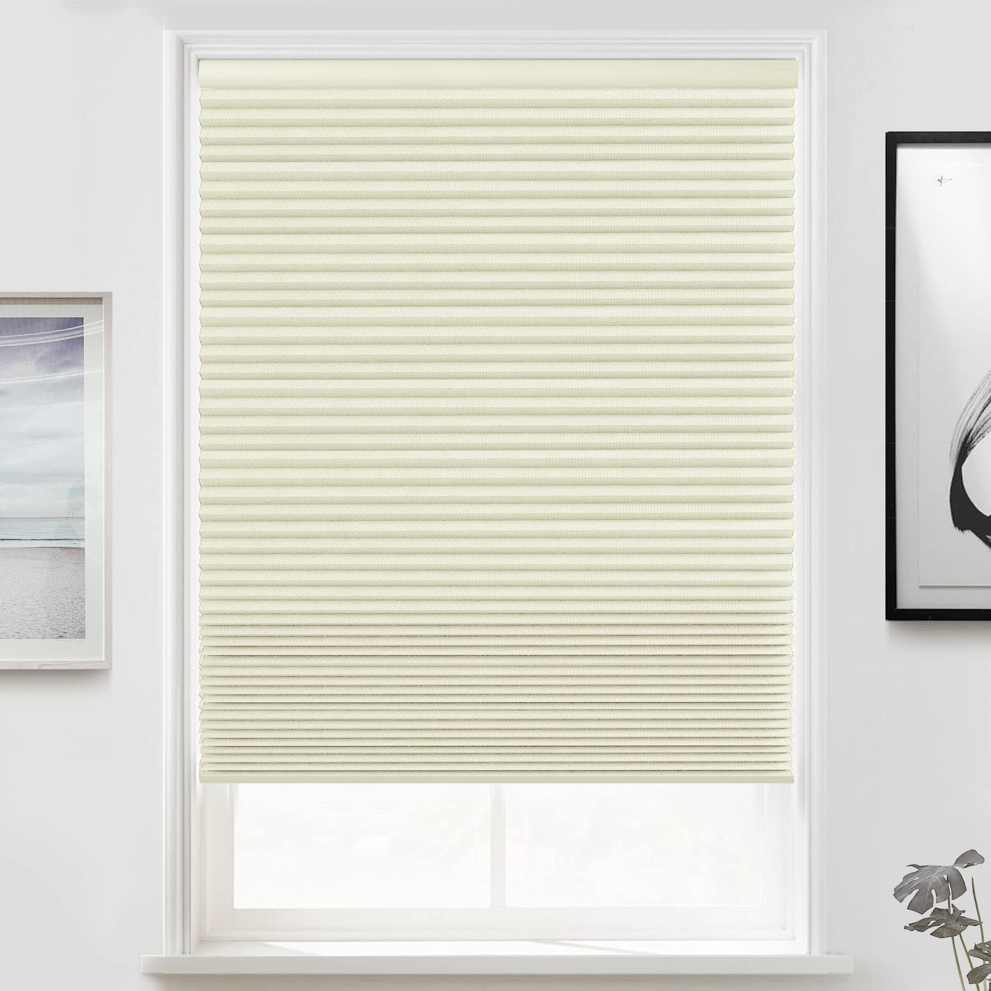 Premium Blackout Cellular Shades - Cordless Honeycomb Blinds for Windows with 1.5