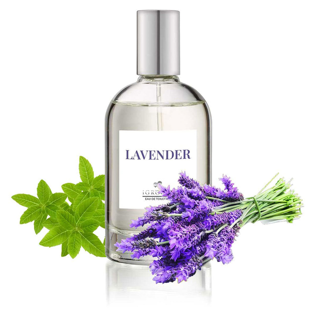 Lavender Scented Pet Perfume Spray - Natural Dog & Cat Cologne for Freshness - Perfect for Grooming, Travel & Special Occasions