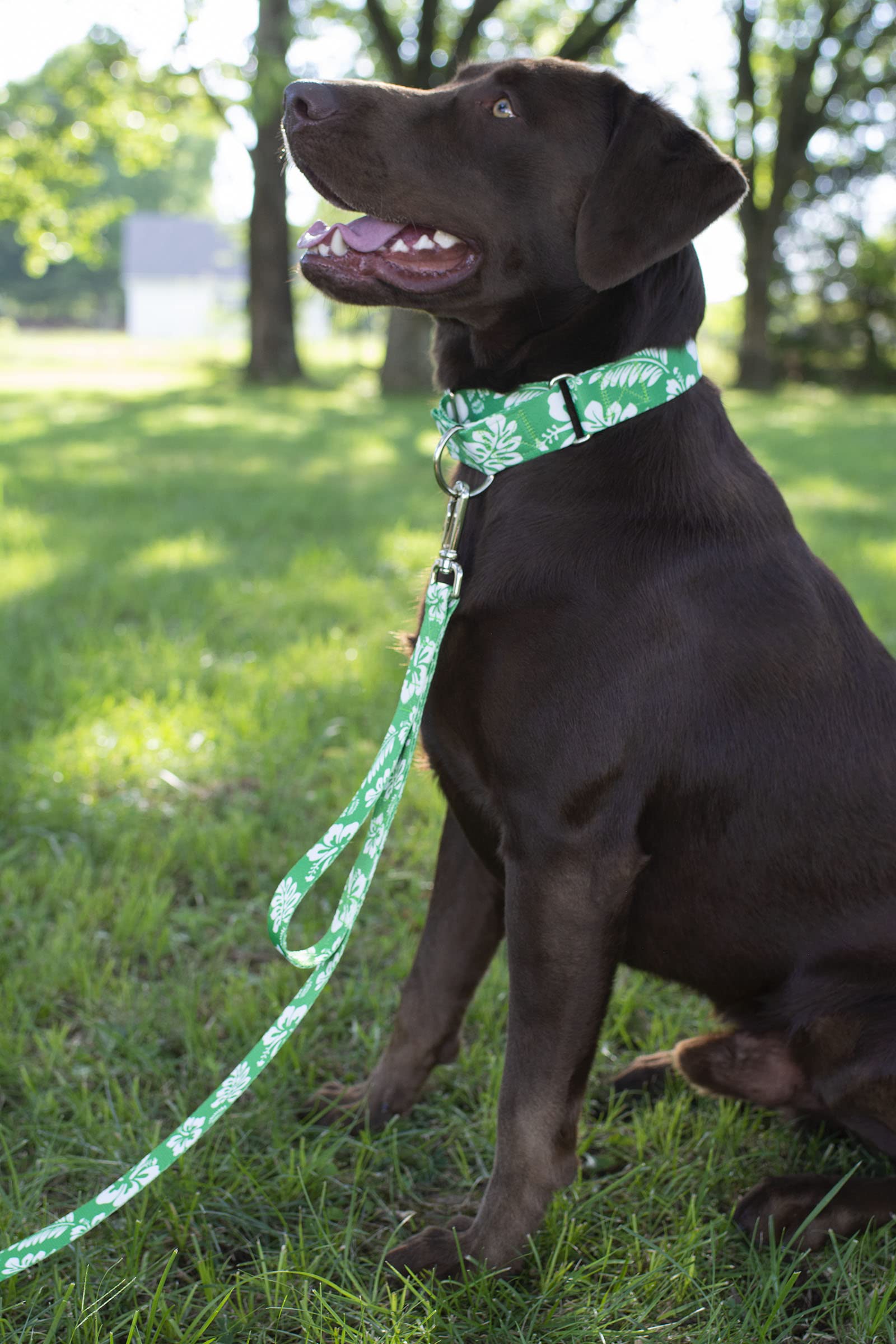 Country Brook Design - Kelly Green Hawaiian Polyester Webbing for Dog Collars, Leashes & Pet Accessories | Durable & Vibrant Outdoor Gear