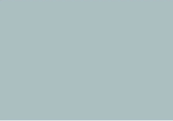 Gull Gray