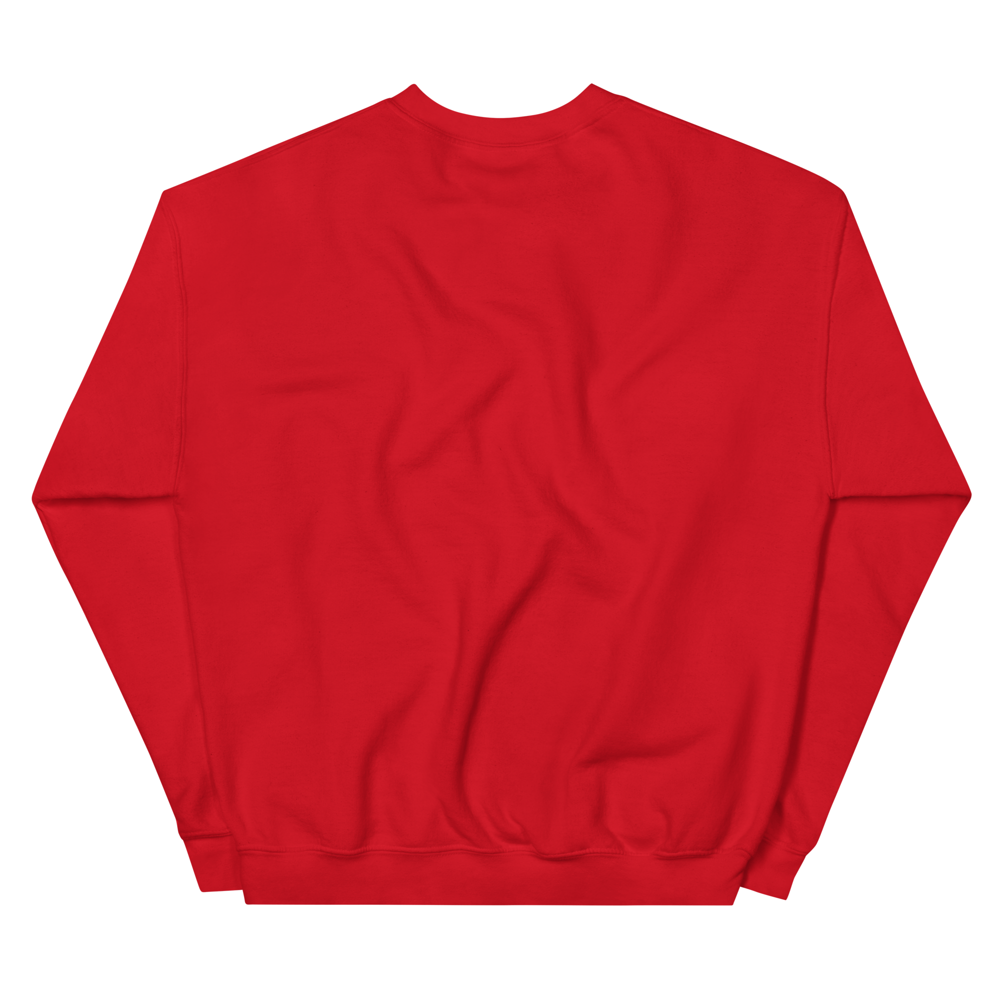 Zoo Jitsu Fighters Stampede Graphic Unisex Sweatshirt - Comfortable Pullover Hoodie for Anime Fans & Martial Arts Enthusiasts