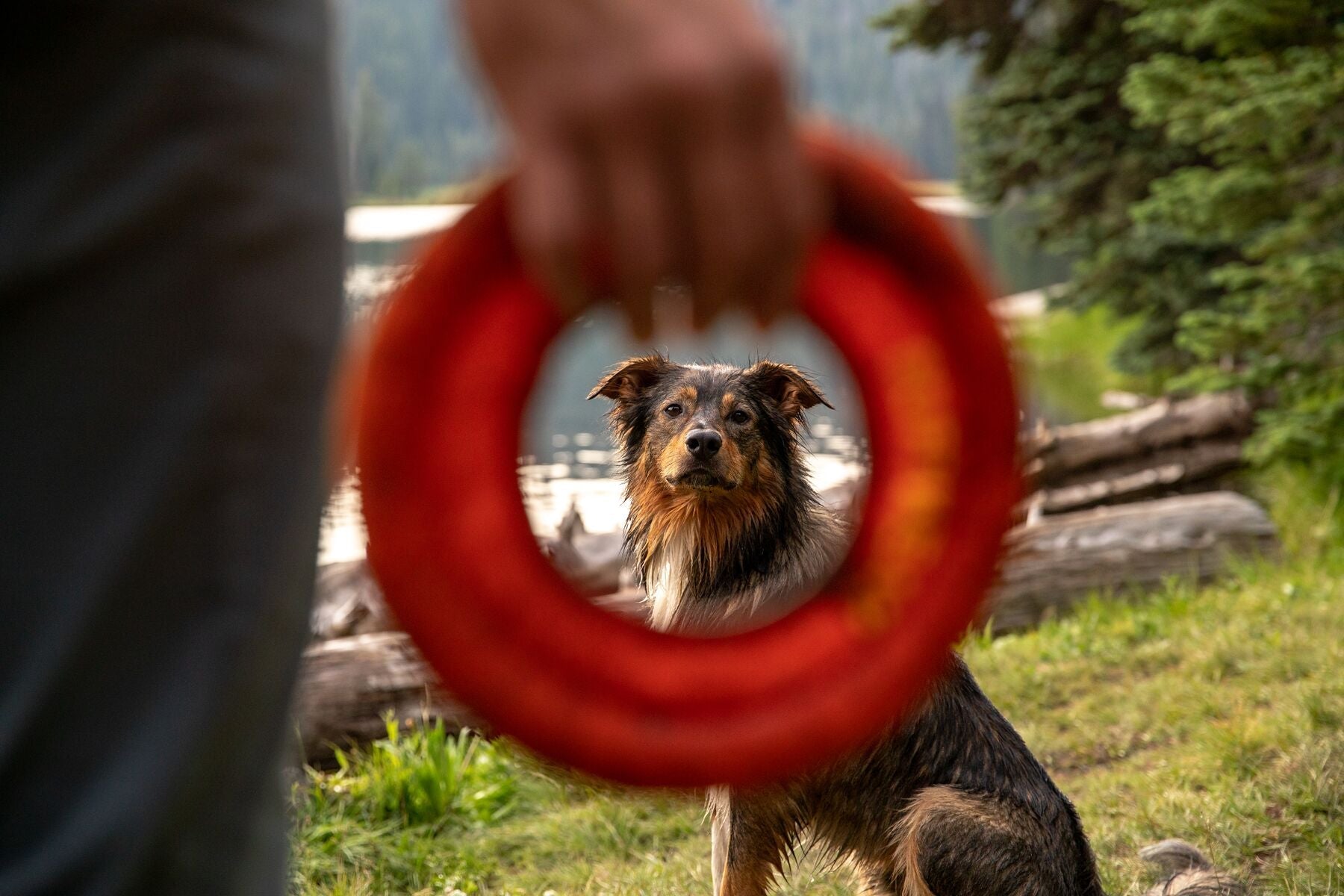 Ruffwear Hydro Plane™ Floating Dog Disc Toy - Tangelo Orange, Waterproof & Durable for Pool, Beach & Outdoor Play - Perfect for Fetch Games with Dogs