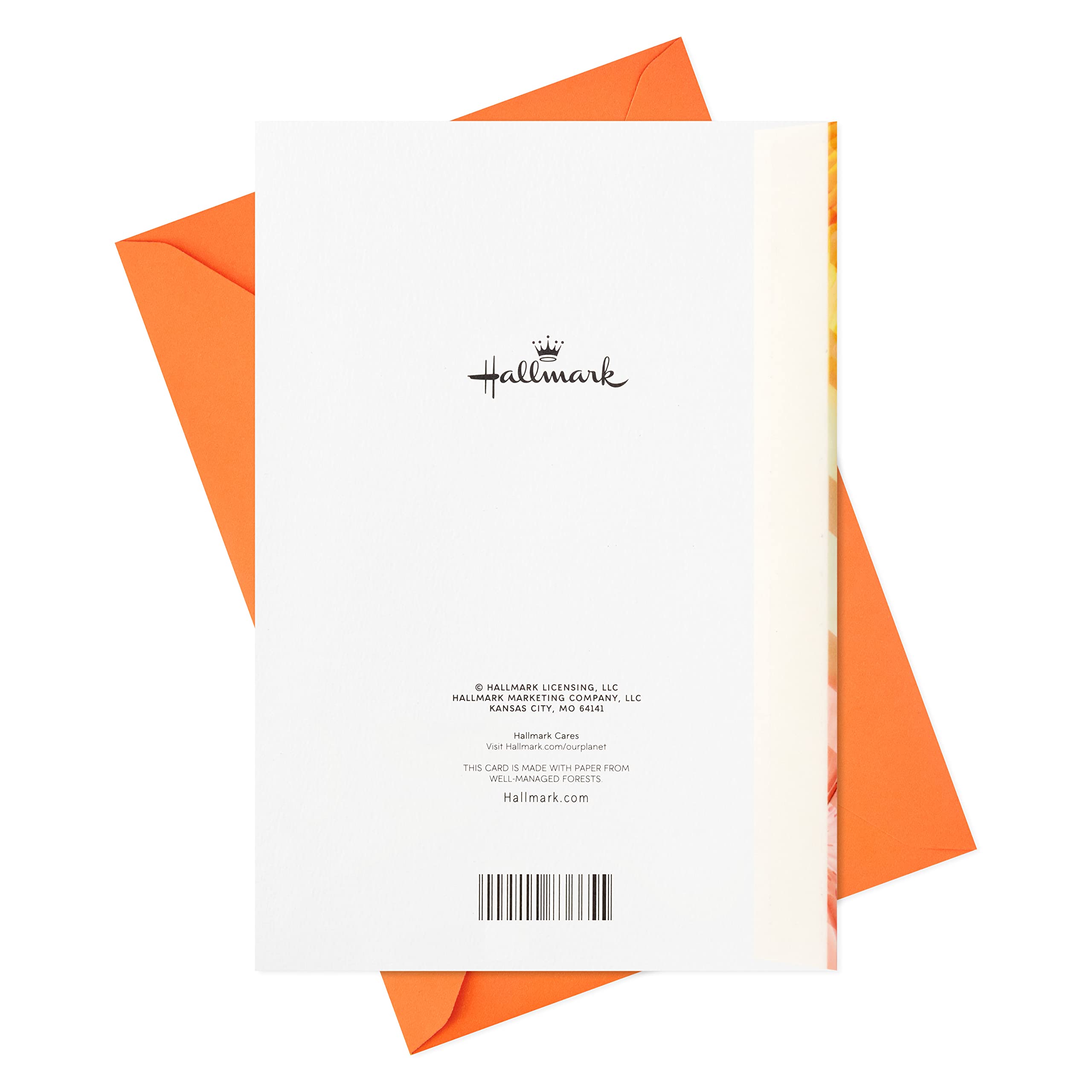 Hallmark 90th Birthday Card - 90 Years Young - Funny & Heartwarming Greeting Card for Milestone Celebrations, Parties & Special Moments
