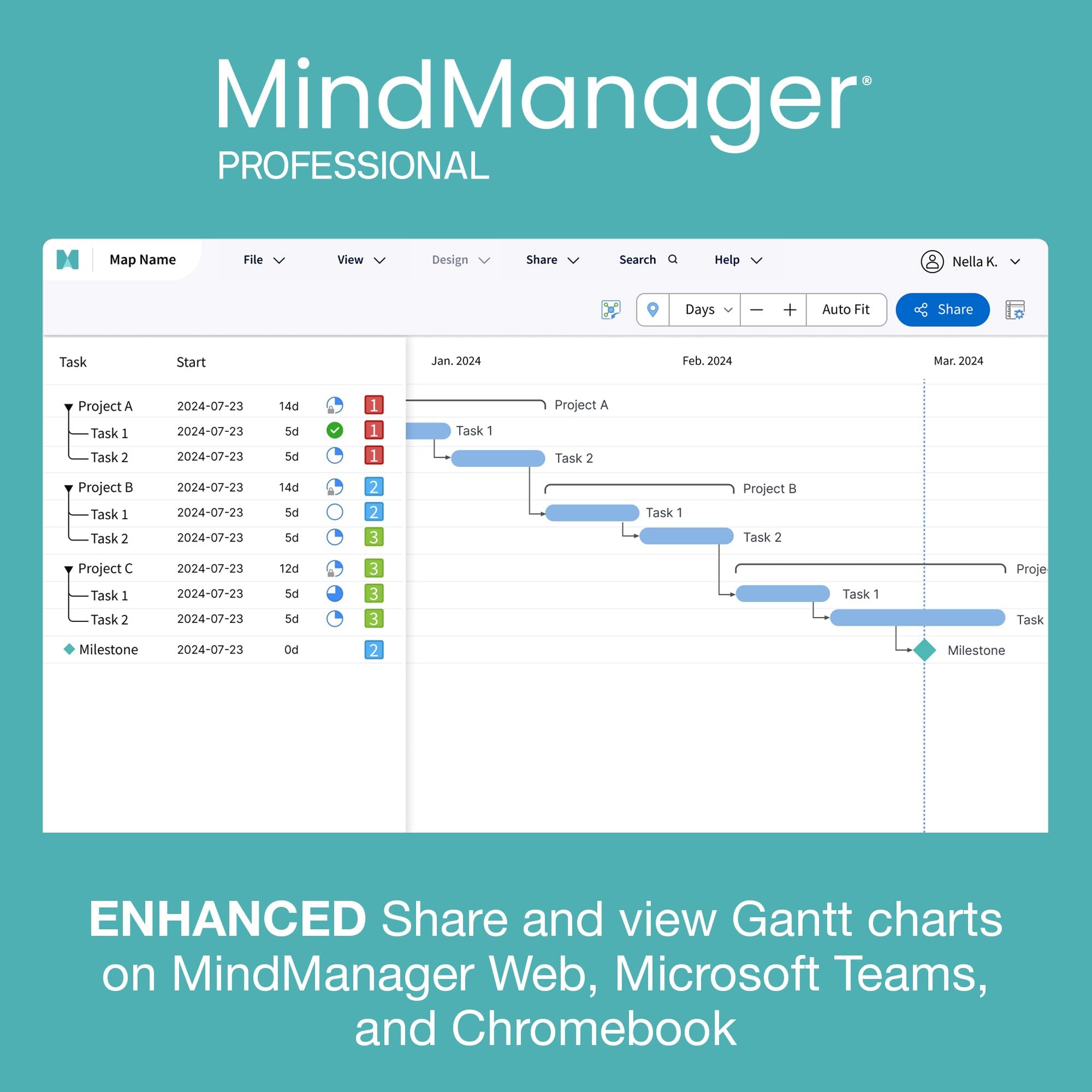 MindManager Professional 1 Year Subscription - Powerful Mind Mapping & Visualization Software for PC & Mac | Boost Productivity, Brainstorming & Project Planning