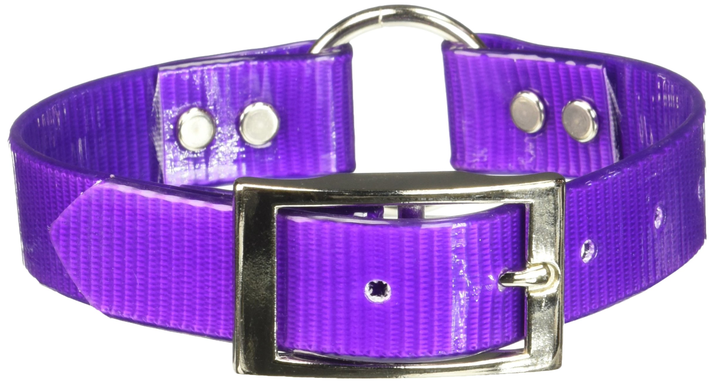 Sunglo Reflective Dog Collar with Center Ring - 1