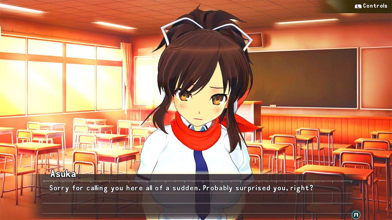 Senran Kagura Reflexions - Nintendo Switch Game | Anime Action Adventure for Teens & Adults | Perfect for Home & Travel Gaming
