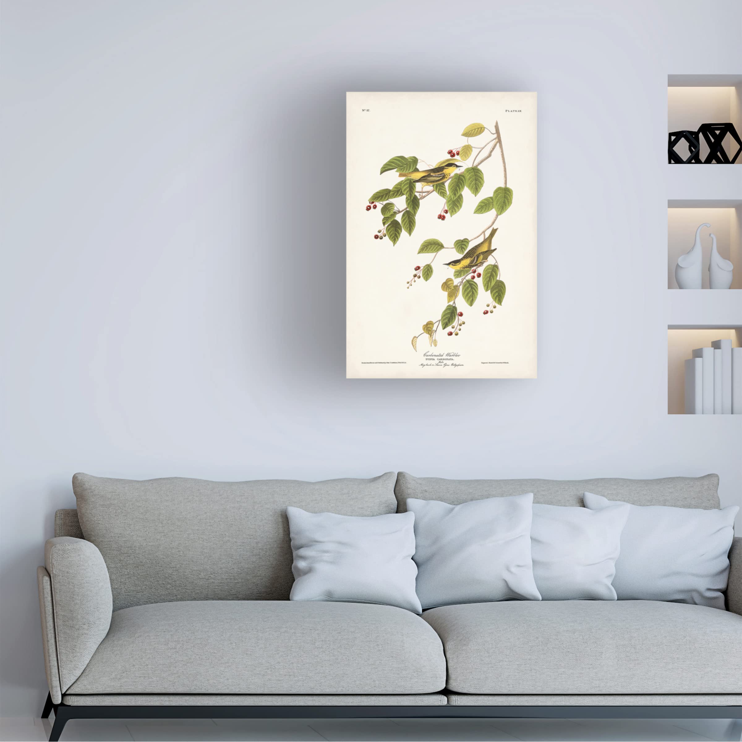 Trademark Fine Art 'Carbonated Warbler' Canvas Print by John James Audubon - 30x47 Inch Nature Bird Wall Art for Living Room, Bedroom & Office Decor