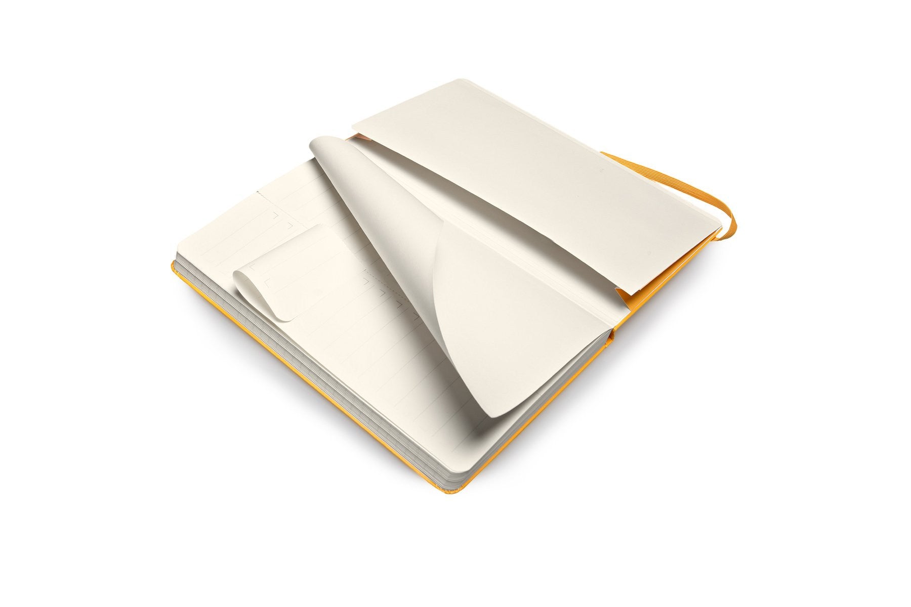 Premium Moleskine Folio Professional Notebook - Large Size (8.5