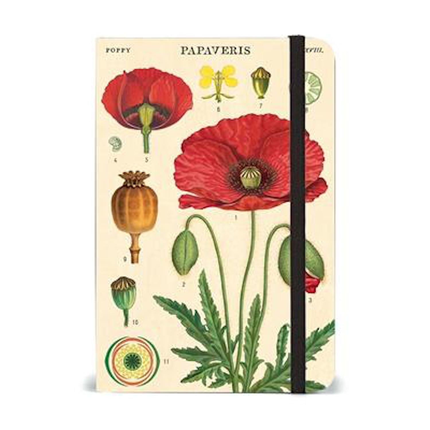 Botany Small Notebook - A5 Size, 80 Pages, Lined Journal for Writing, Note Taking, and Sketching - Perfect for Students, Office, and Travel