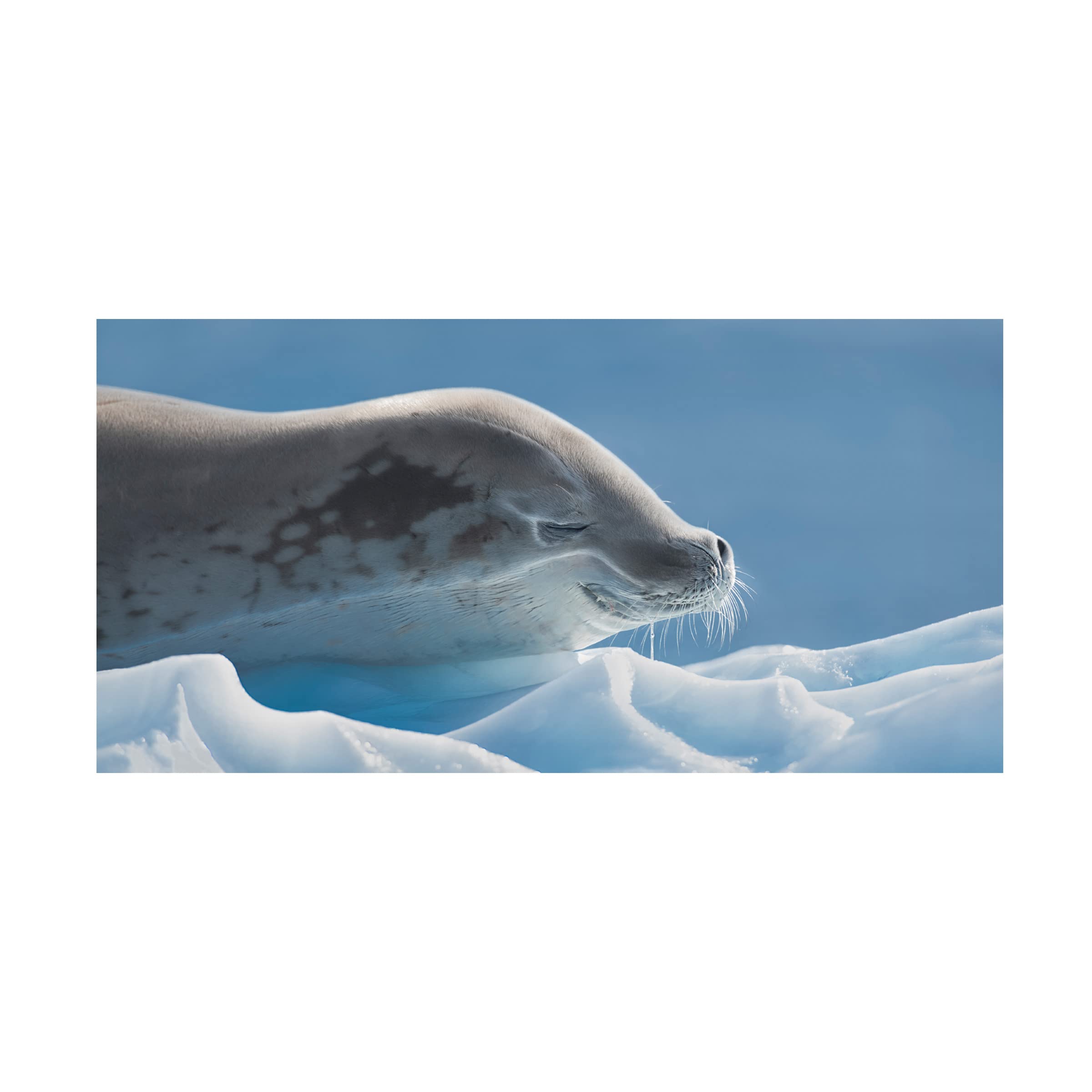 Trademark Fine Art 'Peaceful' Canvas Wall Art by Yun Wang - Serene Landscape Painting for Living Room, Bedroom & Office Decor