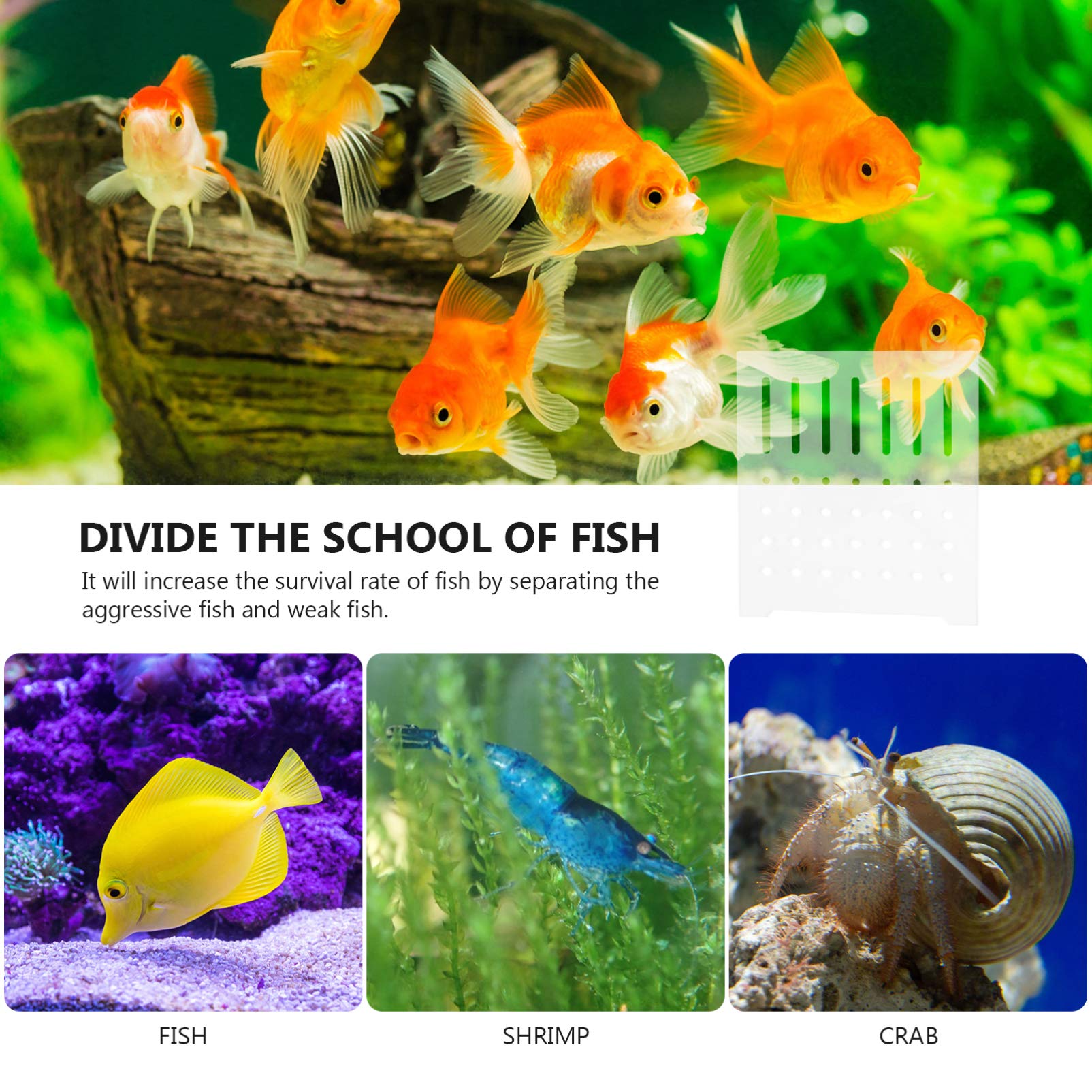 Balacoo Clear Acrylic Aquarium Divider Panel - Fish Tank Separator Grid for Bottom & Breeding