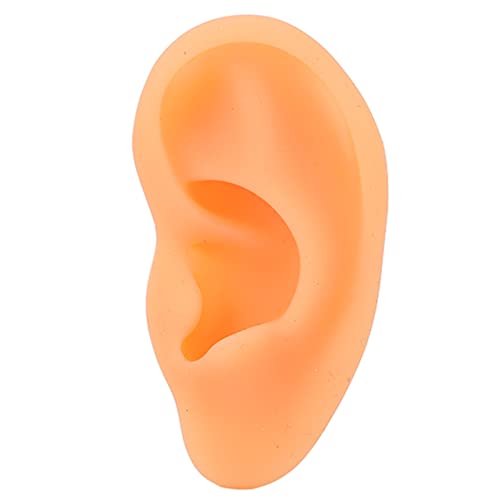 Professional Soft Silicone Ear Model Simulation - Right Ear Display Mold for Hearing Aids & Earrings - Perfect for Audiologists, Jewelry Makers & Medical Training