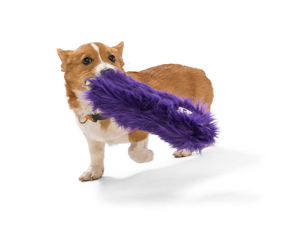 West Paw Design Custer Dog Toy - Durable Chew Toy for Aggressive Chewers, Interactive Play & Fetch - Perfect for Large Dogs, Puppies & Outdoor Activities