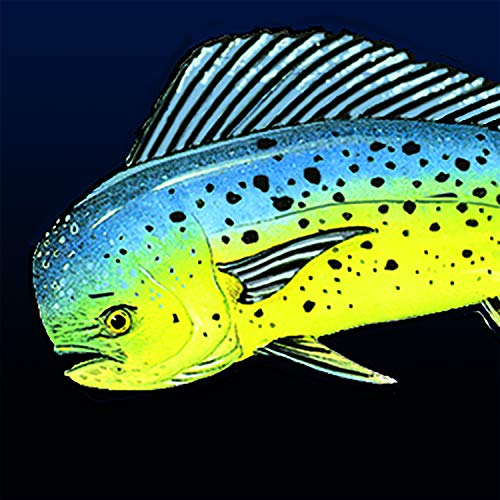 Offshore Slam