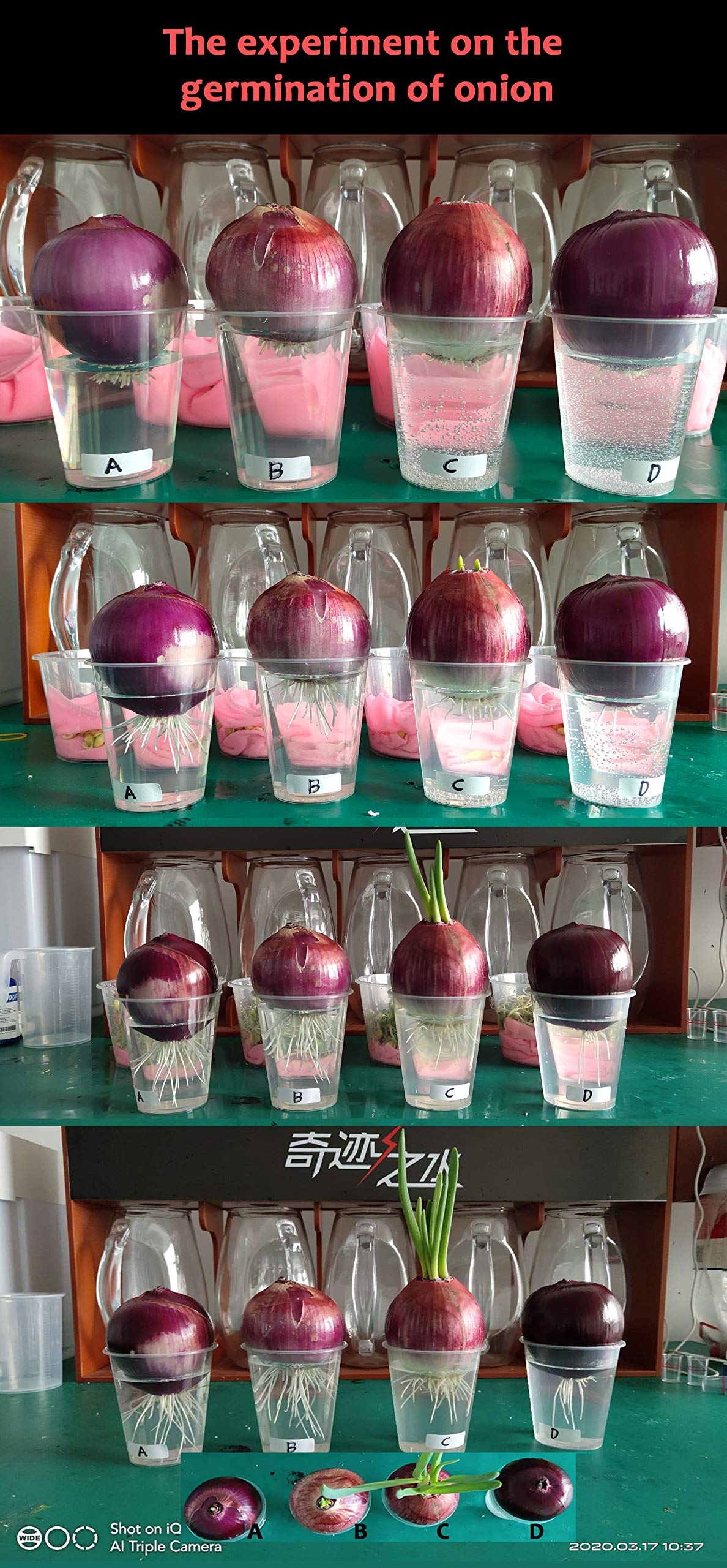 7.8Hz低频分子水处理壶量子共振活水器 - 家用健康饮水解决方案，提升水质口感