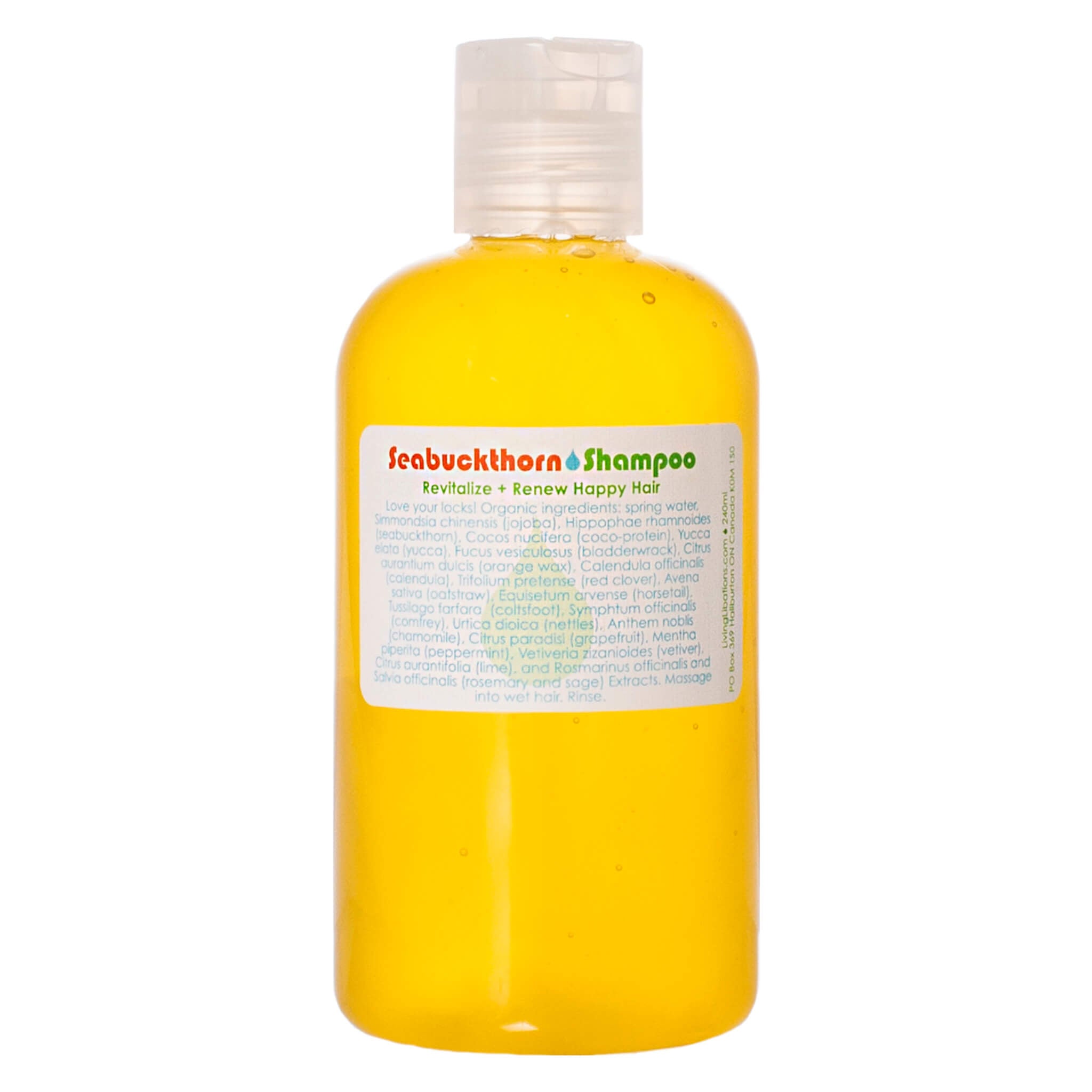Organic Seabuckthorn Shampoo for Hair Growth & Scalp Care - Natural Volumizing & Moisturizing Shampoo for Dry, Damaged Hair - Perfect for Daily Use at Home & Salon