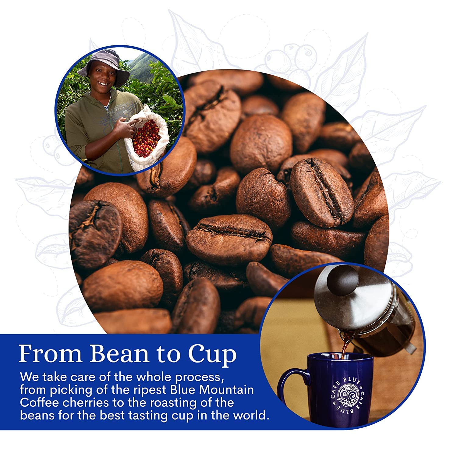 Premium Jamaica Blue Mountain & Colombian Coffee Blend - 8oz Whole Bean Coffee for Brewing, Gifting & Home Baristas - Cafe Blue Gourmet Coffee Pack