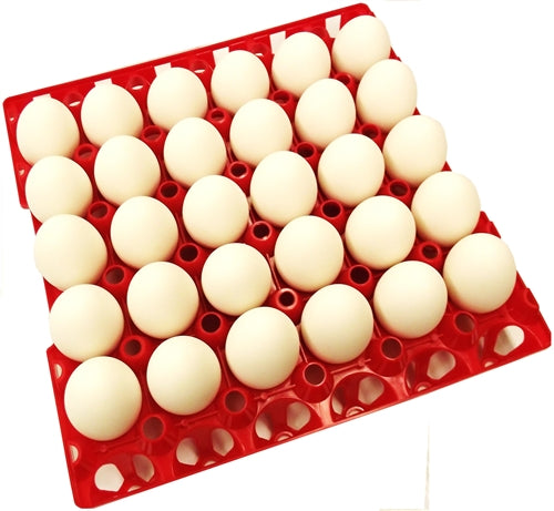 96 Pack of Rite Farm 30-Count Chicken Egg Plastic Trays - Durable Egg Cartons for Poultry Farms, Farmers Markets & Home Chicken Coops