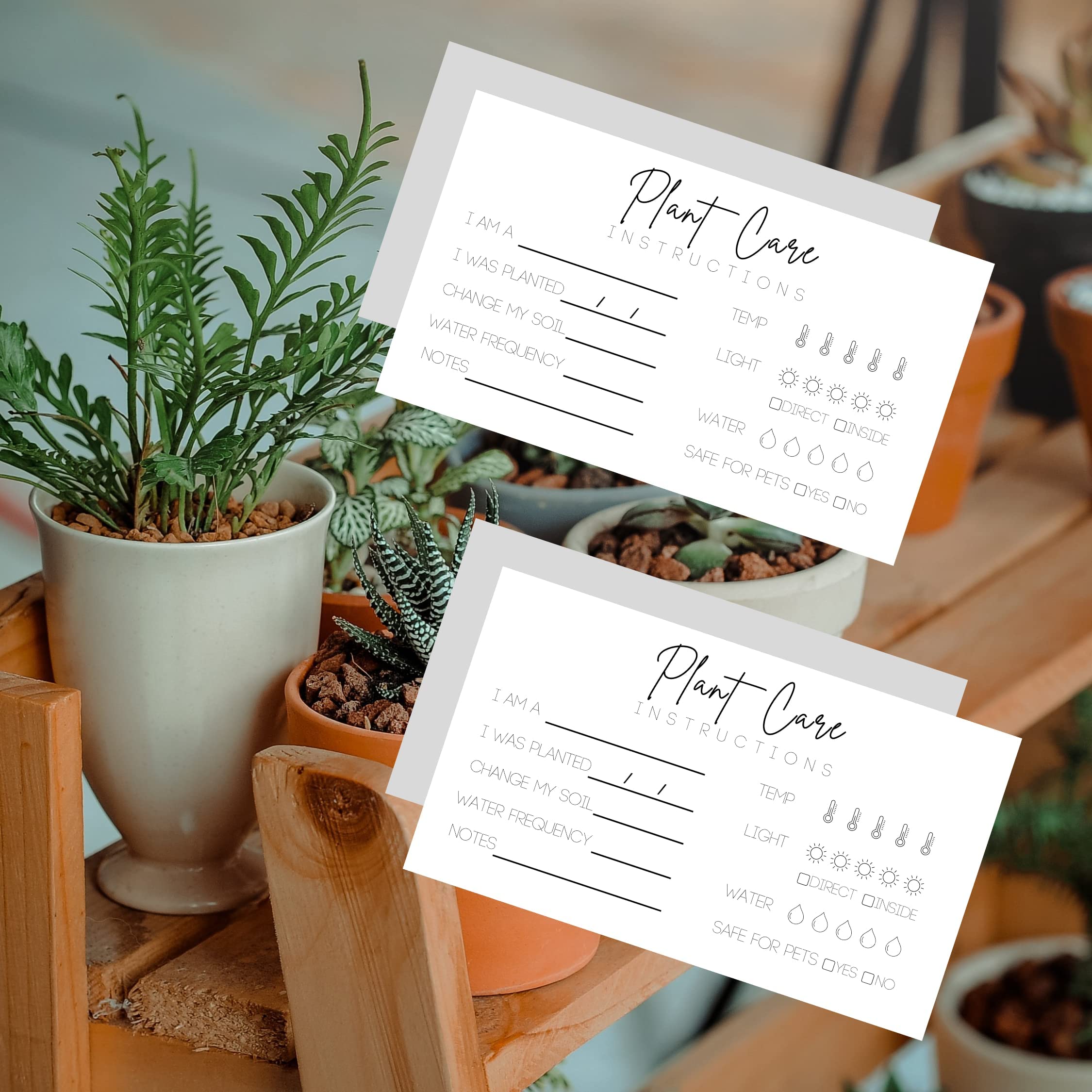 Plant Care Cards - 2