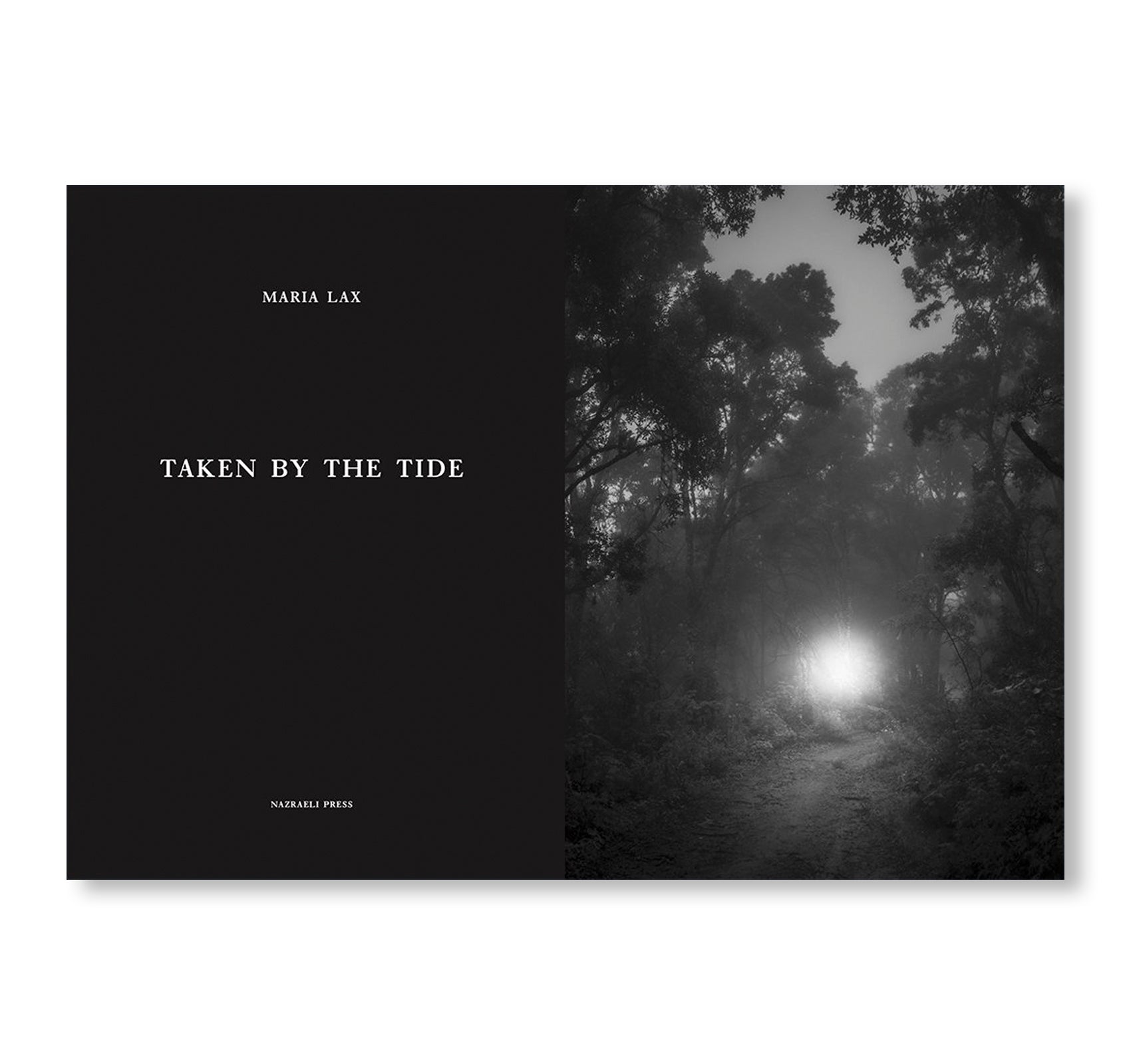 ONE PICTURE BOOK TWO #36: TAKEN BY THE TIDE by Maria Lax - Photography Art Book for Collectors, Perfect for Home Decor & Creative Inspiration