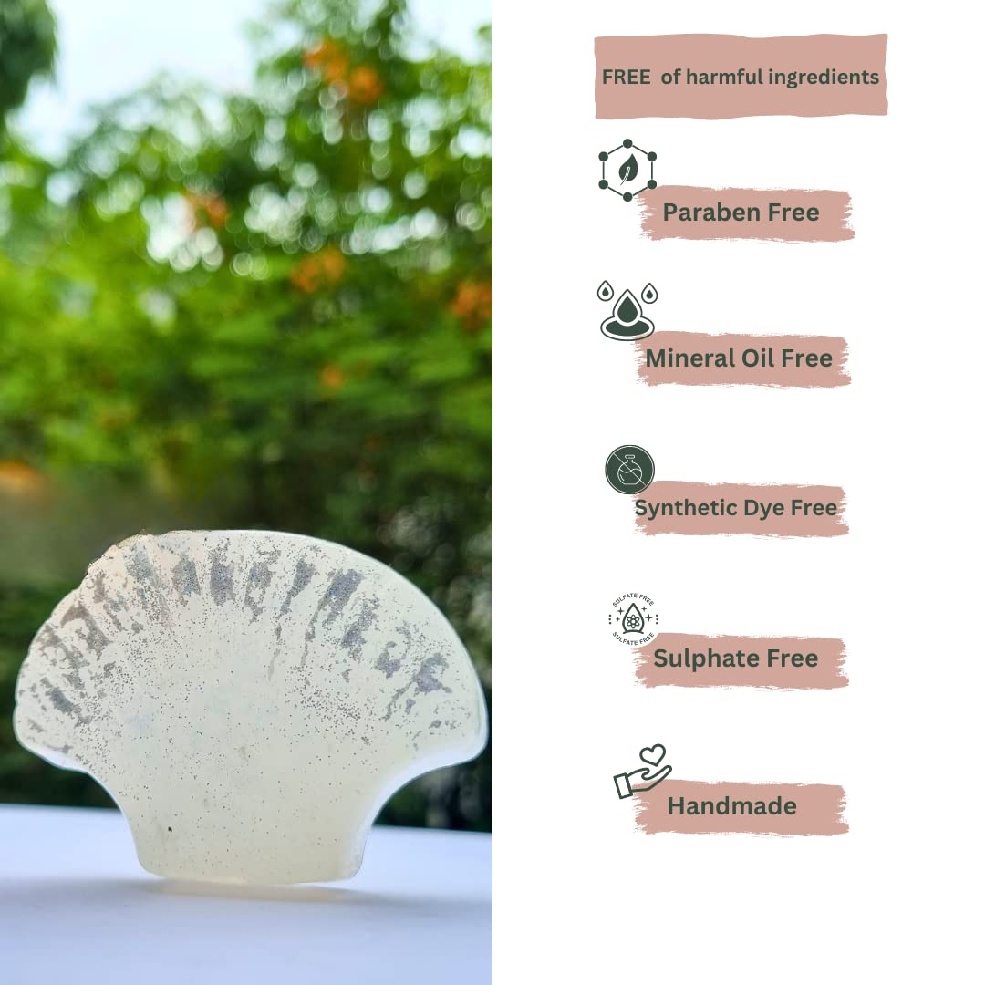 Dalisay Love and Lather Ocean Theme Soap Shell - Natural Kids Soap, Paraben & SLS Free, Perfect for Birthday Gifts, Return Gifts, Diwali, Christmas & Kids' Presents - Ideal for Bath Time Fun & Holiday Gift Giving