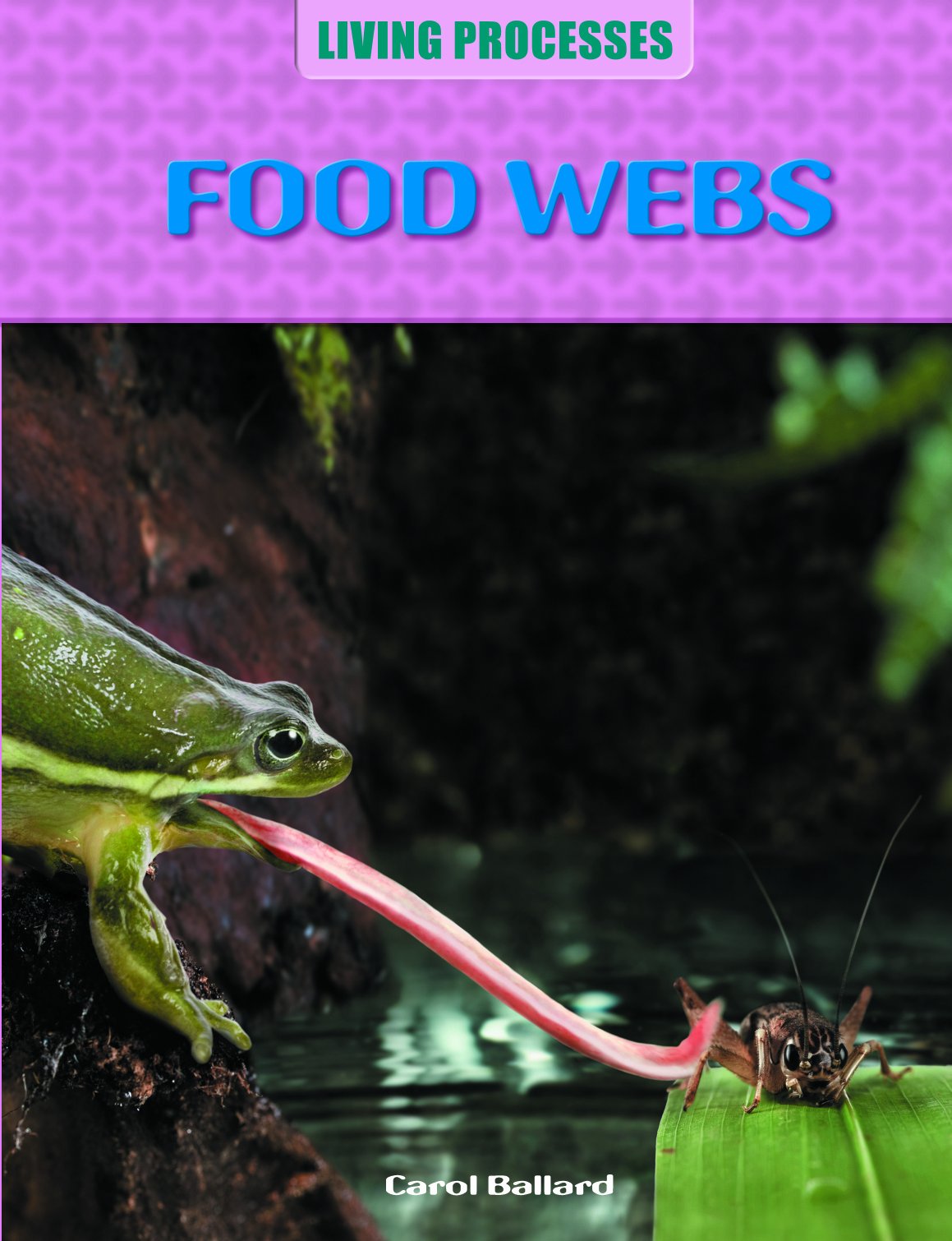Food Webs (Living Processes) - Understanding Ecosystem Dynamics | Science Book for Students & Educators | Perfect for Classroom Learning & Environmental Studies