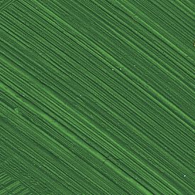 Permanent Green