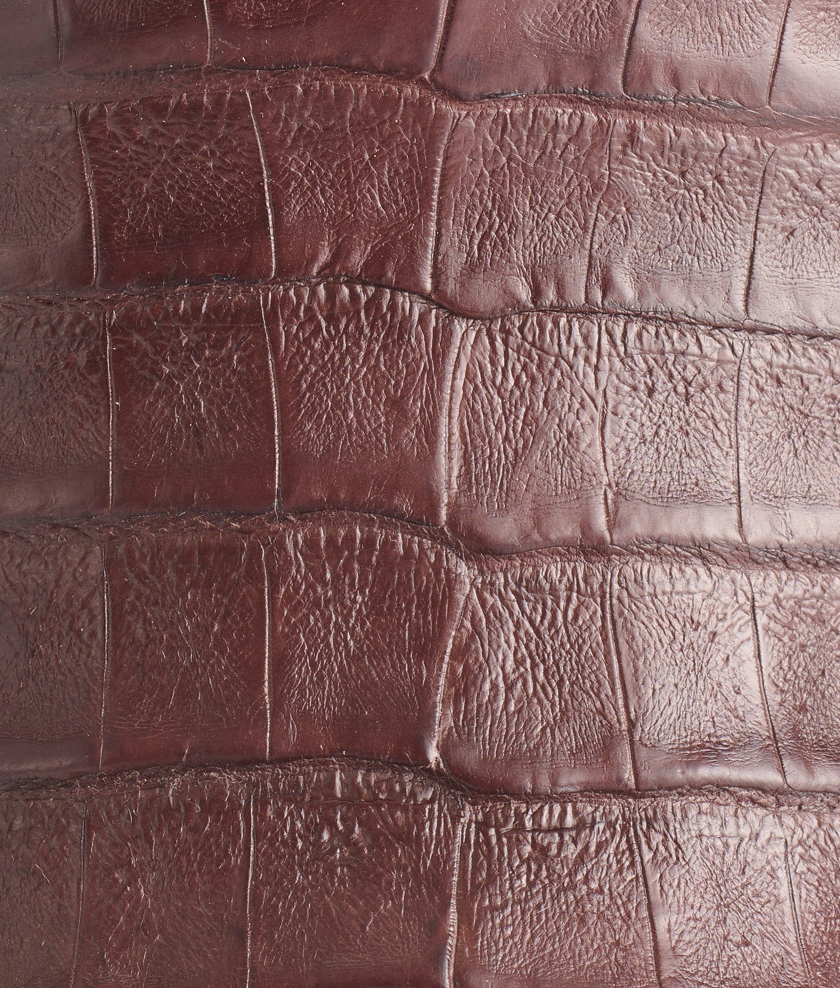 Douglas Barrel Brown Leather Handbag - Stylish Crossbody Purse for Women | Perfect for Work, Travel & Everyday Use