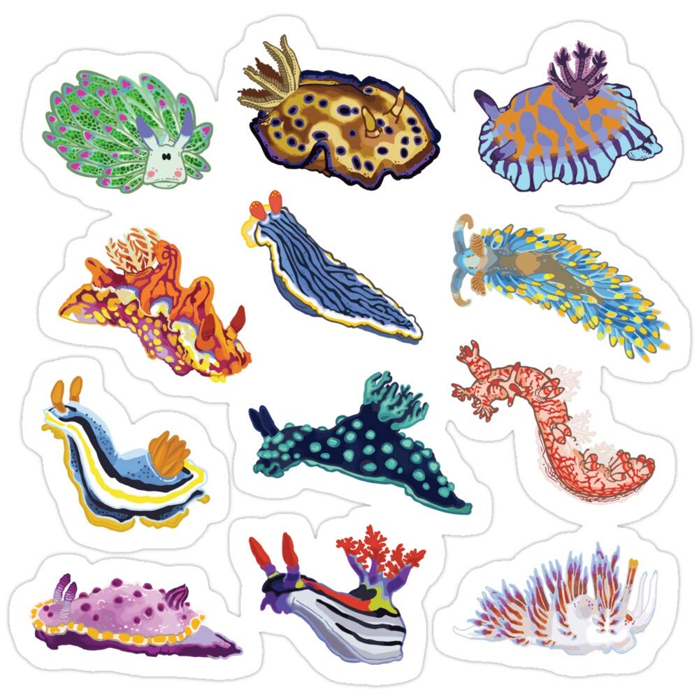 3 Pack Cute Nudibranch Sea Slug Vinyl Stickers - Waterproof Decals for Laptop, Phone, Car, Guitar, Fridge - Fun Marine Life Decor for Kids & Adults - Perfect for School, Office, Travel Accessories