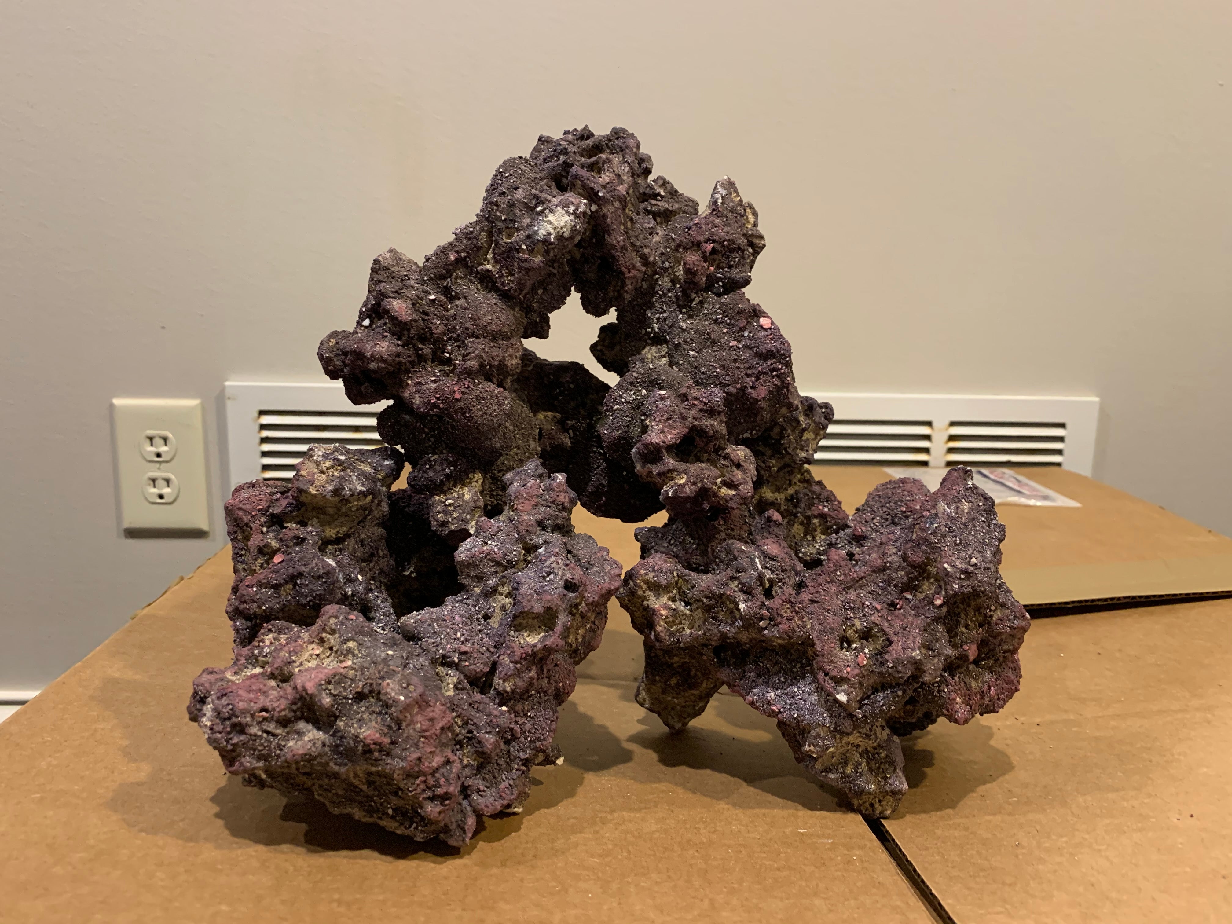 Premium Live Rock Doughnut Frags for Saltwater Aquariums - Pest-Free, Reef-Safe Aquascaping Decor - Perfect for Coral Propagation & Marine Tank Landscaping