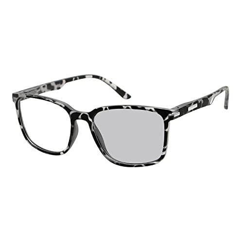 Grey Tortoise