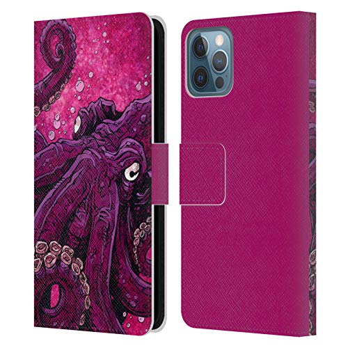 Octopus Squid