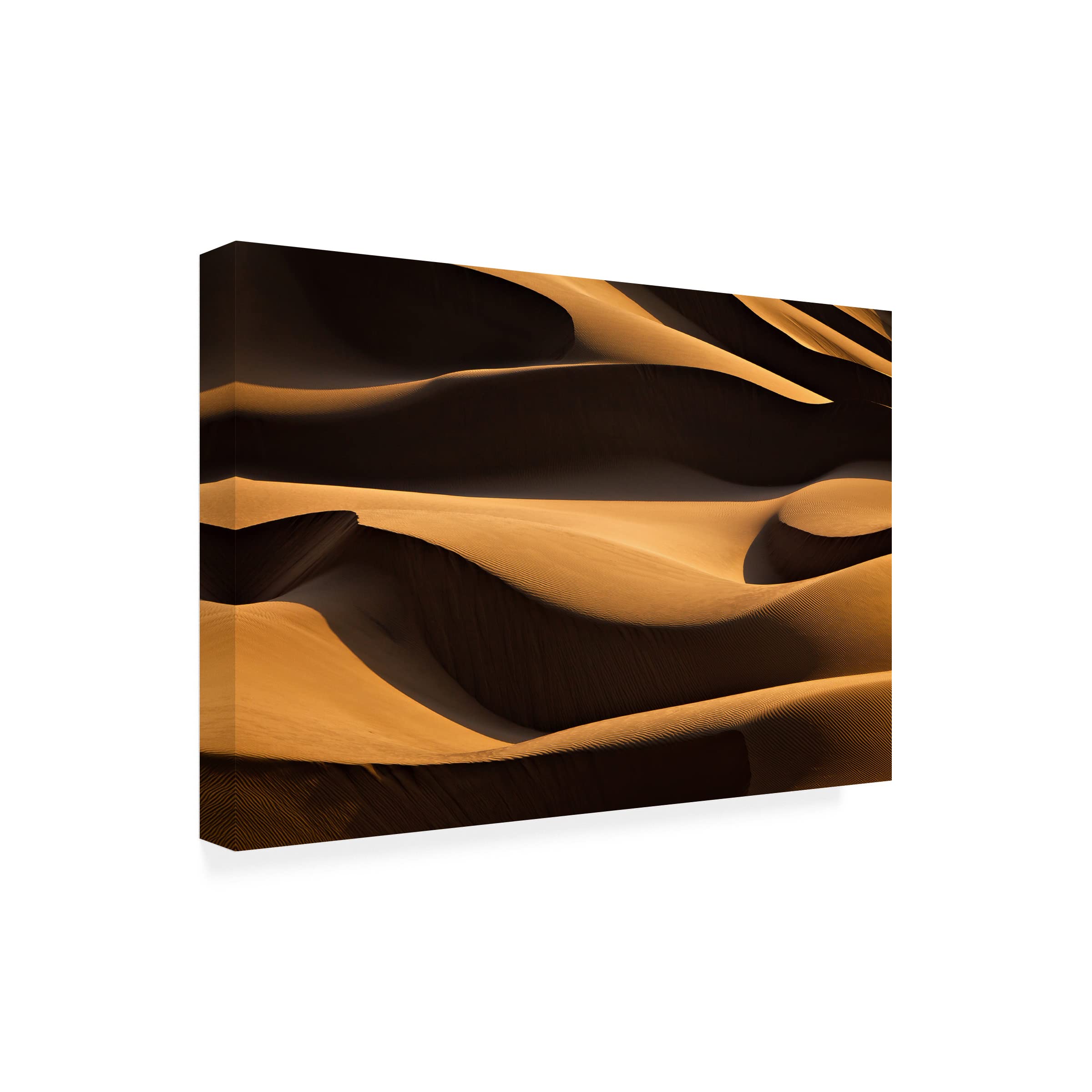 Trademark Fine Art 'Layers' Canvas Wall Art Painting by Mohammadreza Momeni - Modern Abstract Home Decor for Living Room, Bedroom & Office