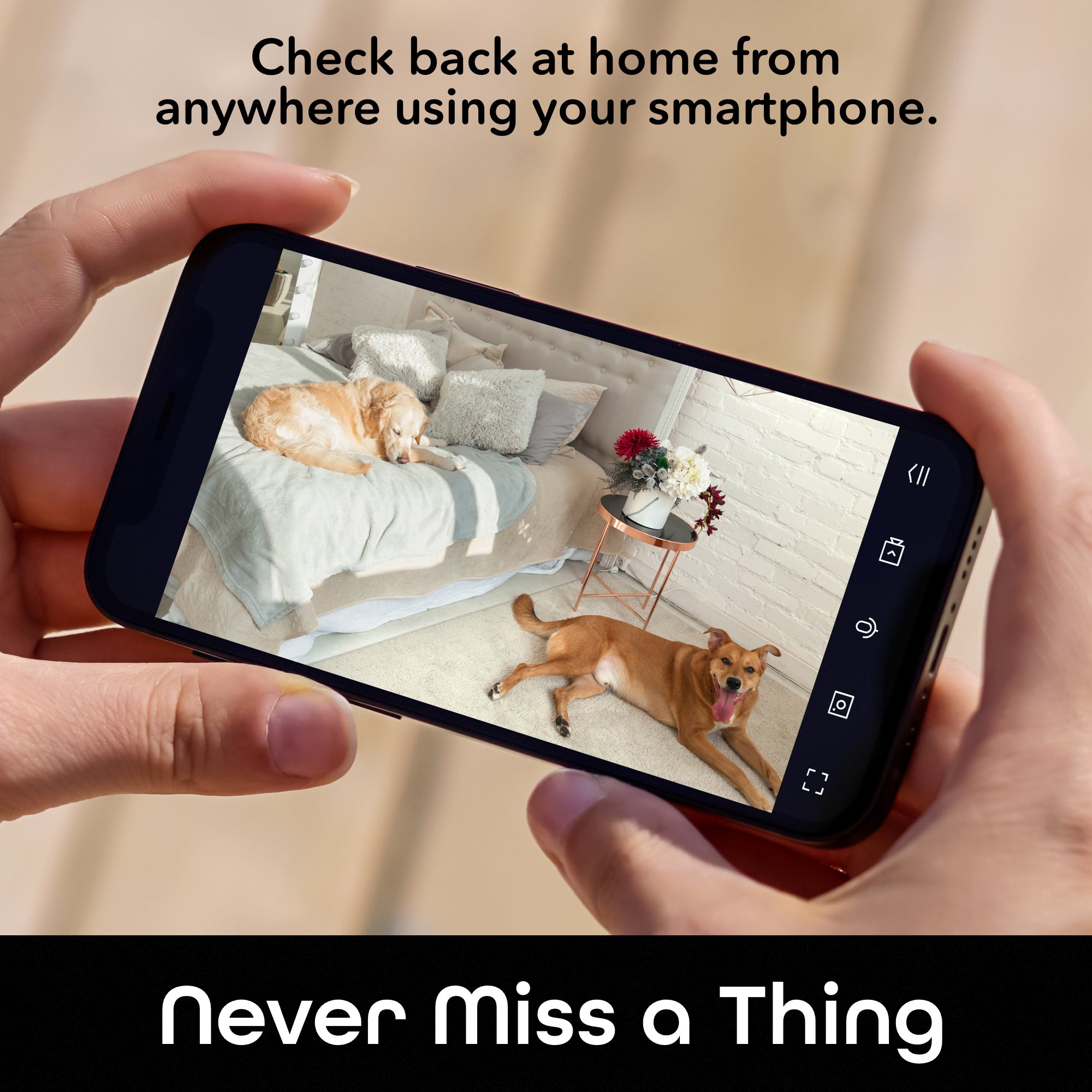 Geeni 2K Pan/Tilt/Zoom Indoor Pet Camera with Night Vision & 2-Way Audio - Monitor Your Dog, Cat, Puppy or Small Animals at Home, Office or While Traveling