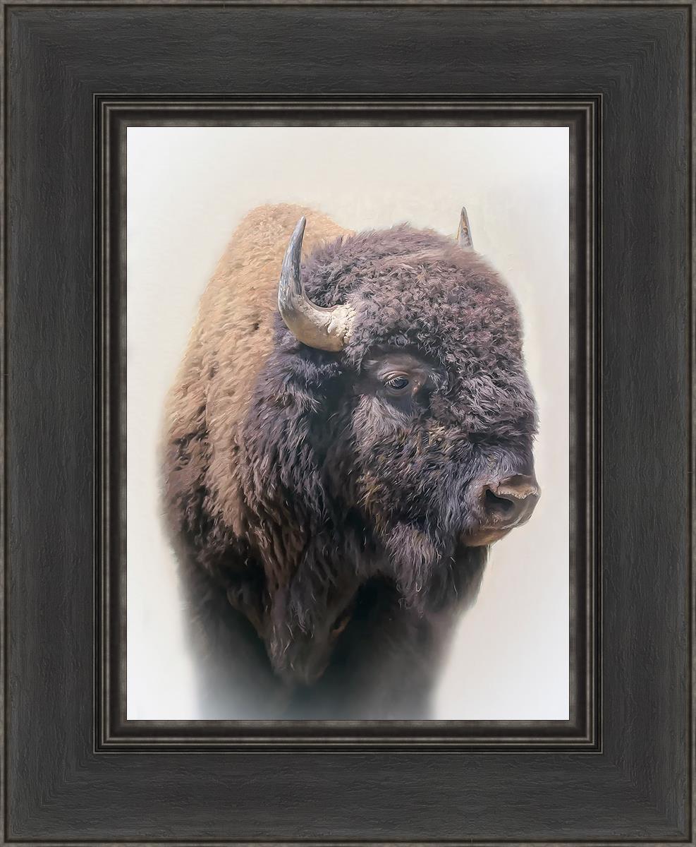 Bison By Matthew Grant | Premium Bison Meat & Jerky | High-Protein Snacks for Camping, Hiking & Outdoor Adventures