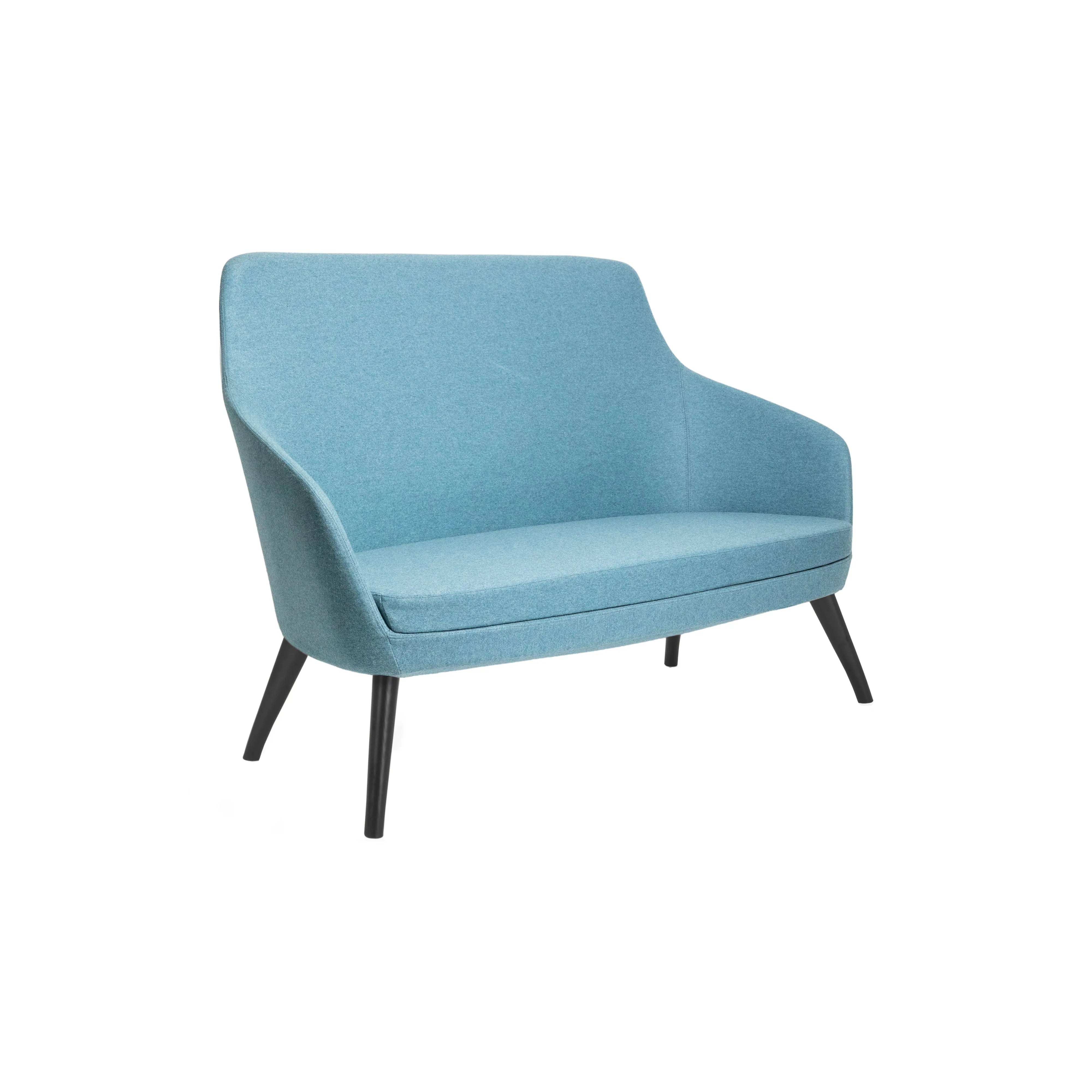 ANNETTE 2-Seater Lounge Chair - Modern Comfortable Sofa for Living Room, Bedroom & Office - Perfect for Relaxing, Reading or Small Space Decor