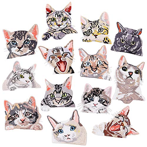 Cat 13pcs