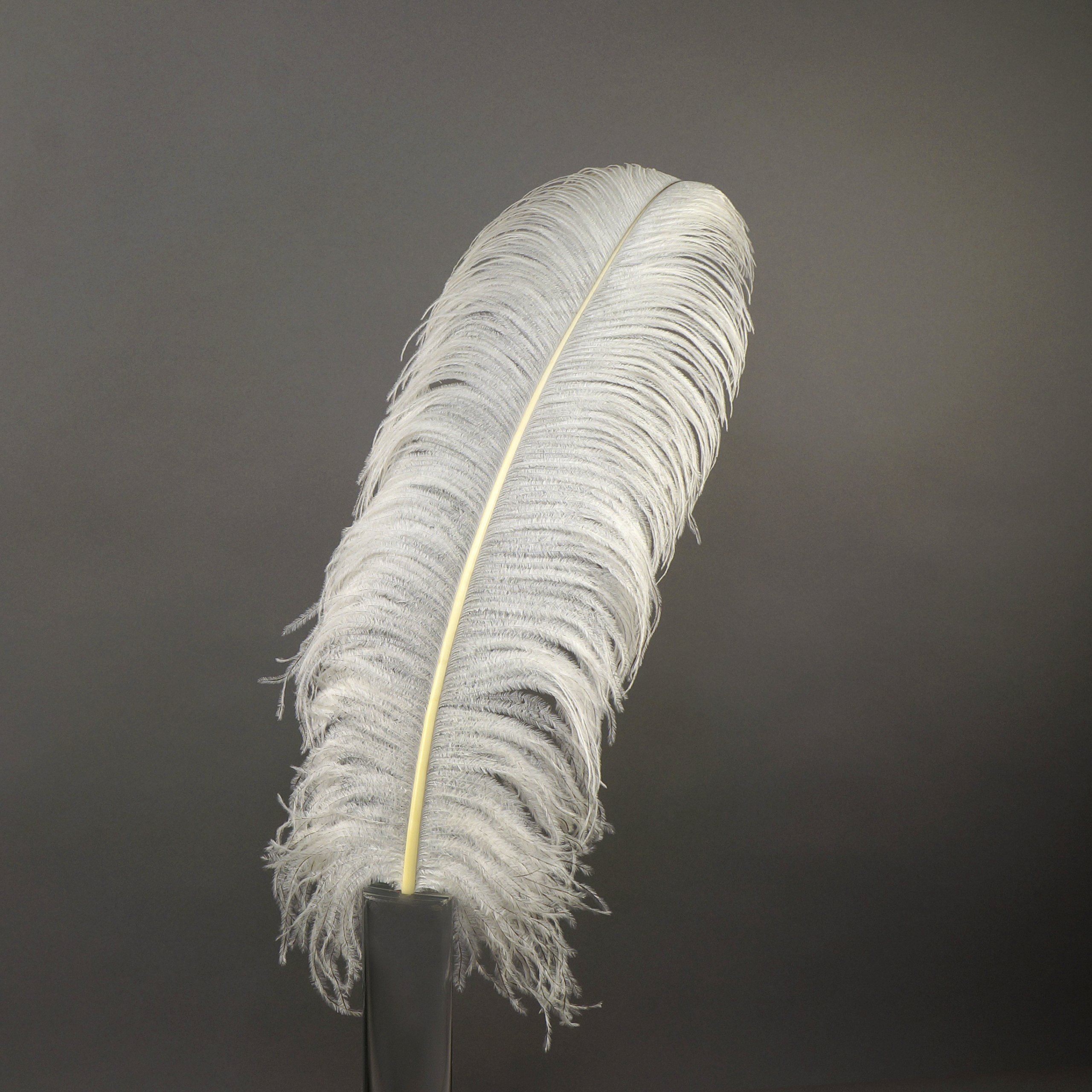 Premium ZUCKER Ostrich Feathers - 17-25