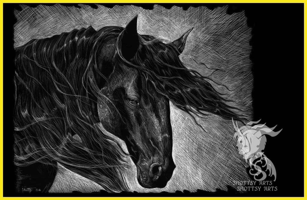 Premium Scratchboard Art Kit - Realistic Horse Drawing Set for Artists & Beginners | DIY Scratch Art Supplies for Home, School & Gifts