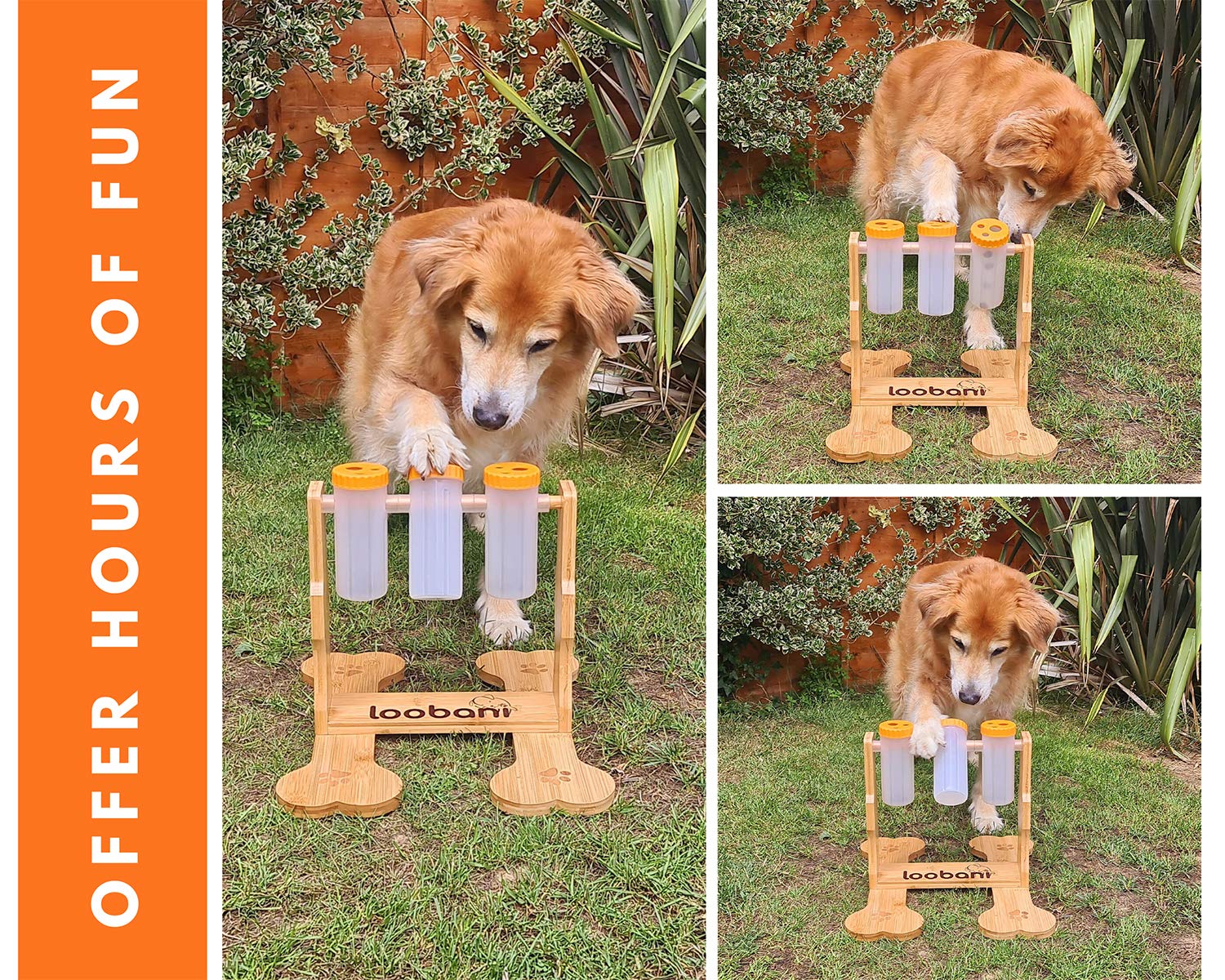 LOOBANI Interactive Dog Puzzle Toys - Wooden Treat Dispensing IQ Training Game for Small to Large Dogs | Mental Stimulation & Boredom Relief | Slow Feeder & Entertainment Toy for Indoor Play & Travel