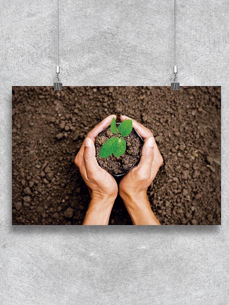 Plant Growth & Care Educational Poster - Gardening Guide for Indoor & Outdoor Plants | Perfect for Home, Classroom & Office Decor