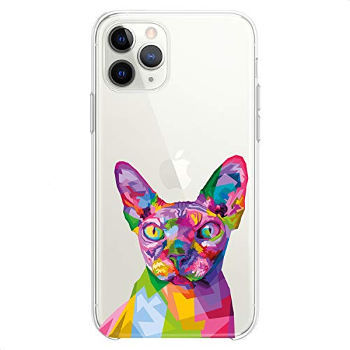 Colorful Cat Sphynx