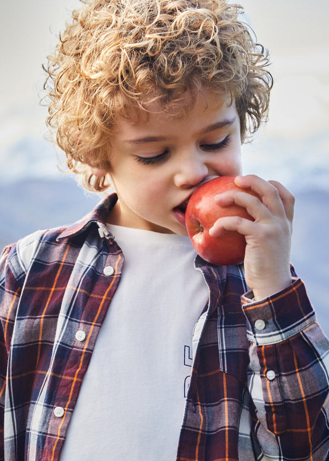 Long Sleeve Plaid Shirt for Boys - Stylish & Comfortable Checkered Top for School, Playdates & Outdoor Activities