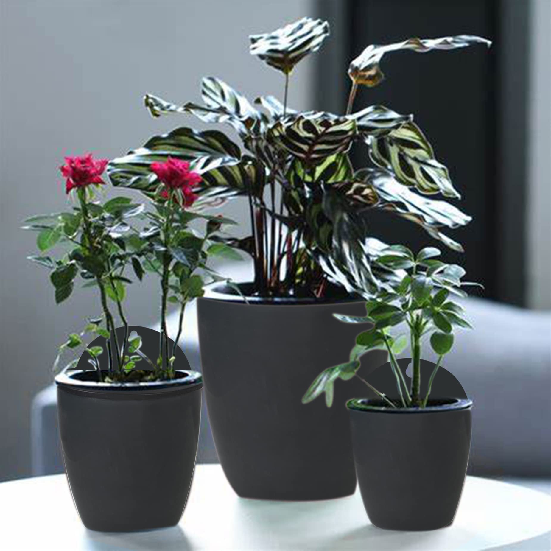 7 Pack Self-Watering Wall Hanging Flower Pots with Hooks - Black Lazy Planter Shelf for Indoor & Outdoor Plants - Perfect for Balconies, Gardens, and Home Decor