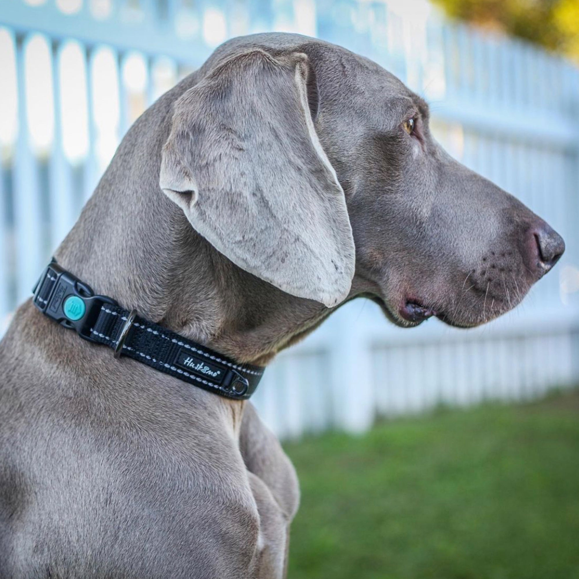 Huskimo Trekpro Dog Collar - Durable Nylon Reflective Pet Collar with Metal Buckle for Medium Large Dogs - Perfect for Hiking, Camping & Outdoor Adventures (Dark Sky)