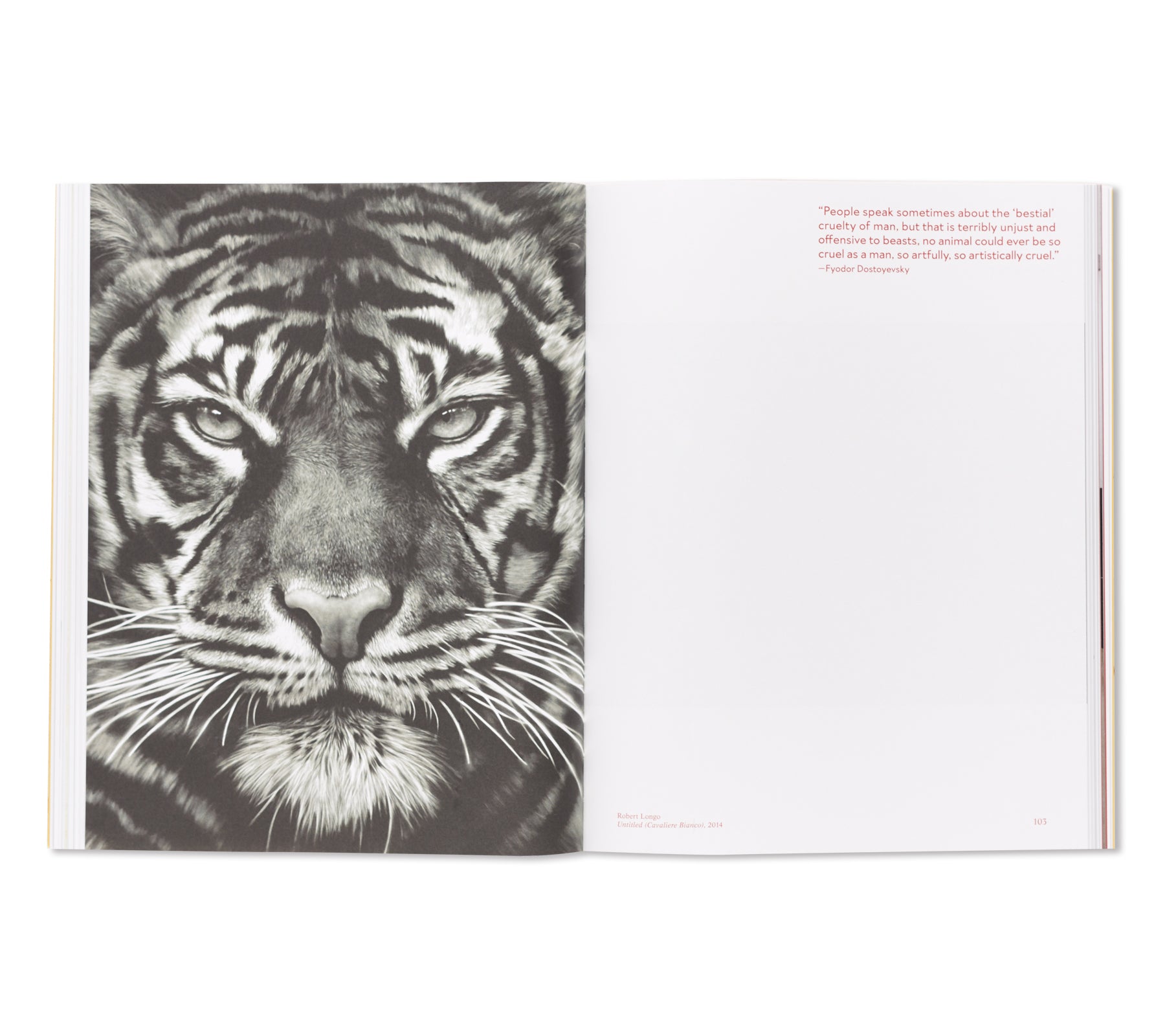 ANIMALITY by Jens Hoffmann - Contemporary Art Book for Collectors & Enthusiasts | Perfect for Home Decor, Gifts & Art Exhibitions