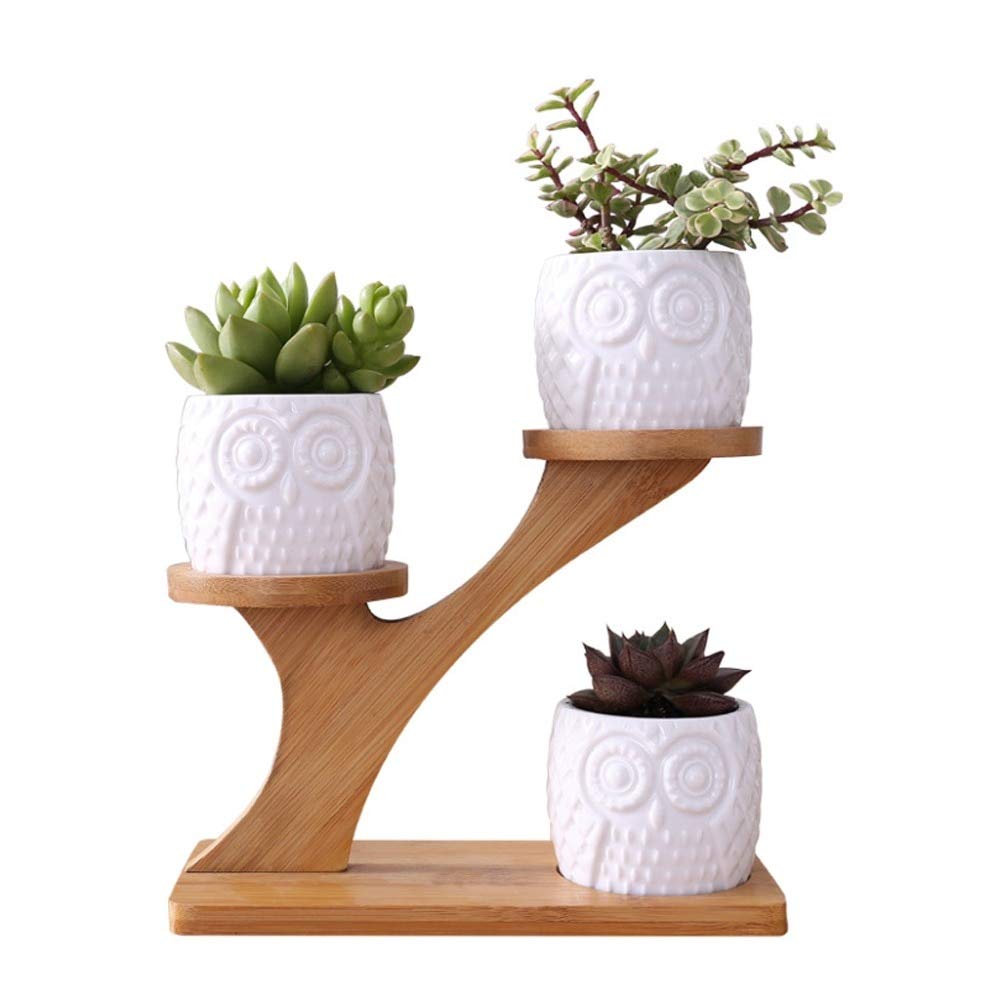 3-Tier Bamboo Flower Stand with Owl Succulent Pots - Cute Cactus Planter Set with Tray for Home & Garden Decor | Perfect for Windowsill, Patio, and Office Desk