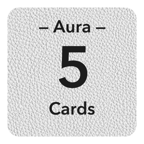 B2_blanc_5 Porte-cartes
