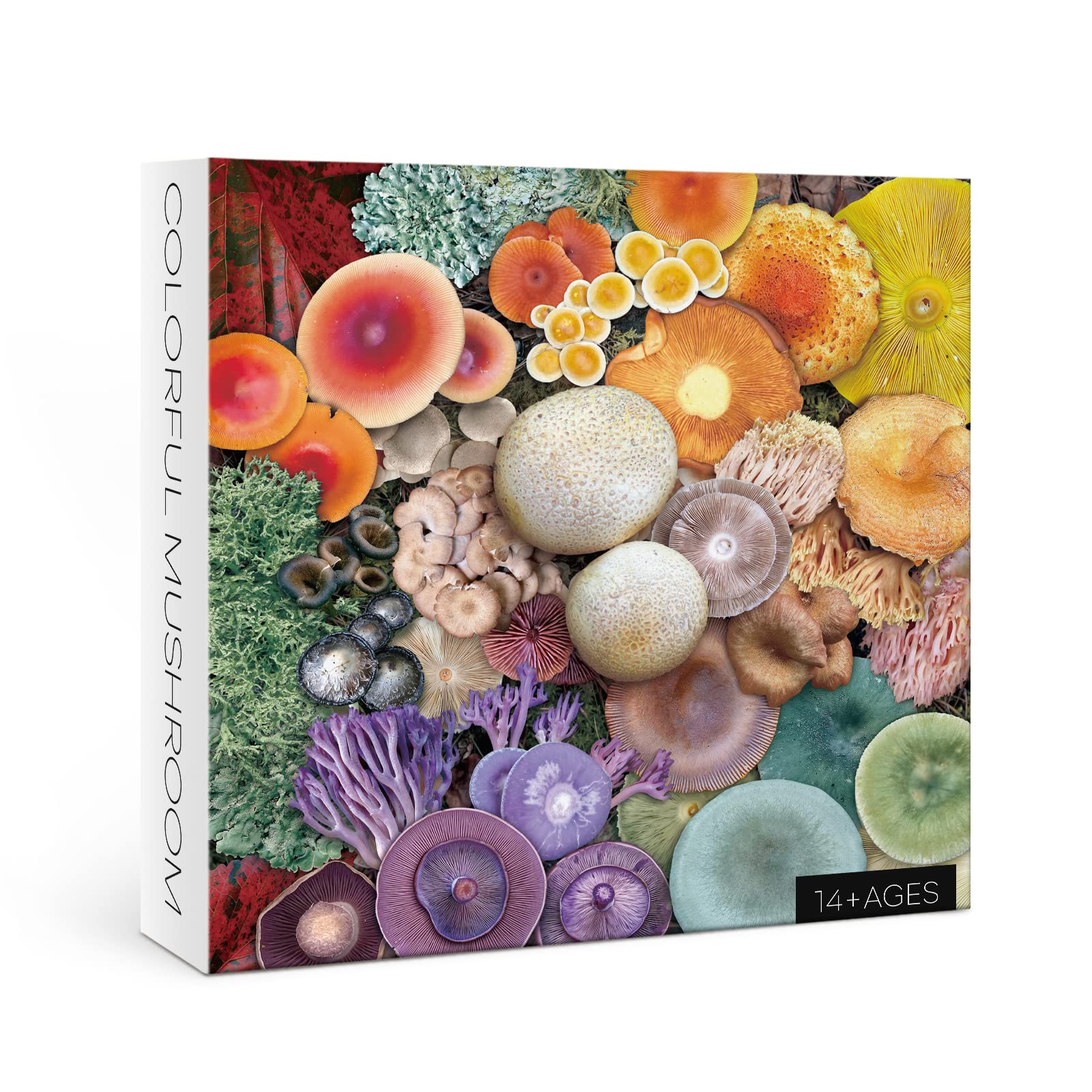 1000 Piece Mushroom Puzzle for Adults - Colorful Fungi Jigsaw Puzzle with Blooming Toadstools & Rainbow Nature Design | Perfect for Home Decor, Relaxation & Family Game Night