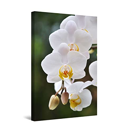 White Yellow Flower